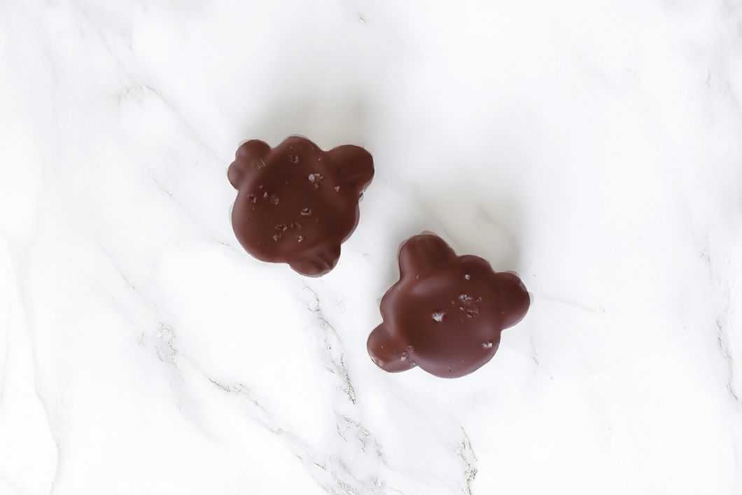 Two chocolate turtles with dark chocolate and sea salt